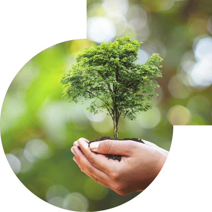 关怀人类、文化、环境与社会